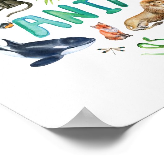 水の色救動物 ポスター (角)