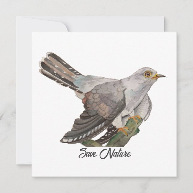 水の色絵を描はカッコウ (正面)