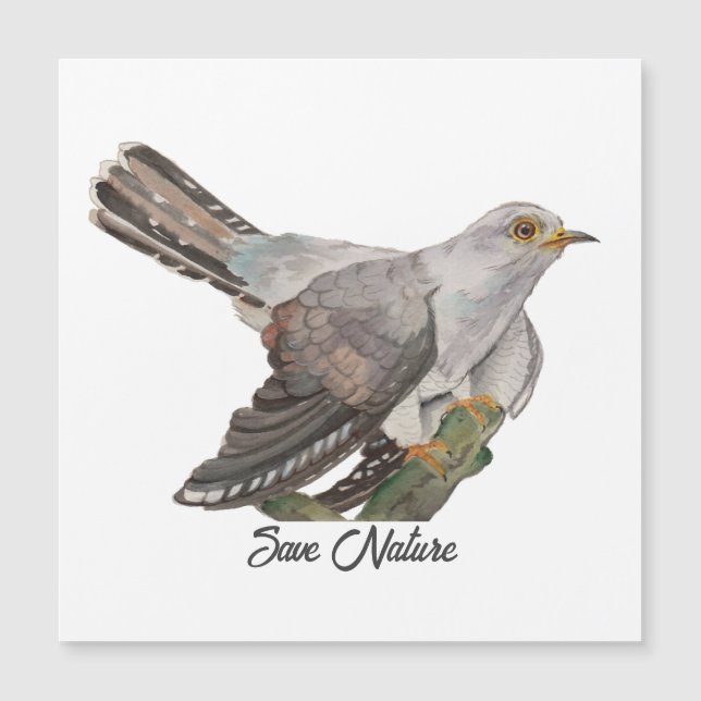 水の色絵を描はカッコウ (正面)