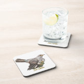 水の色絵を描はカッコウ コースター (右側)