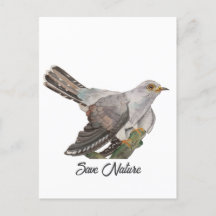 水の色絵を描はカッコウ