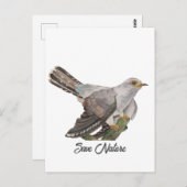 水の色絵を描はカッコウ ポストカード (正面/裏面)