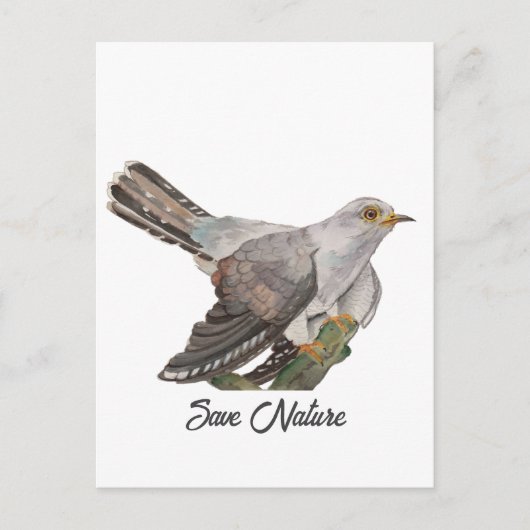 水の色絵を描はカッコウ ポストカード (正面)