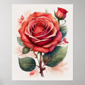 水の色絵画のバラ赤II ポスター (正面)