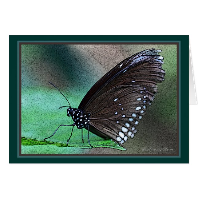 水の蝶 (正面横)