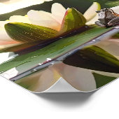 水の調和:カエルと水百合 ポスター (角)