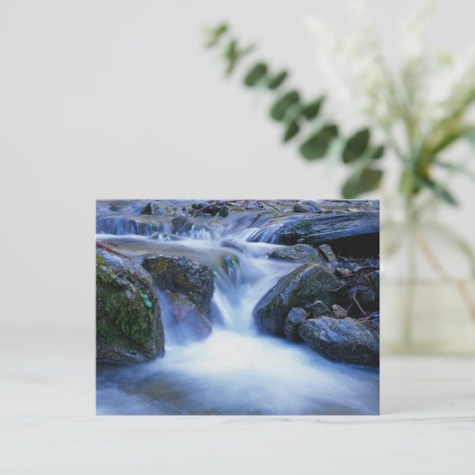 水の谷 ポストカード (スタンド正面)