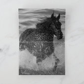 水の走あいさつきカードのダークホース カード (内部)