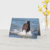 水の走あいさつきカードのダークホース カード (黄色い花)