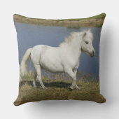 水の近くで走っているミニチュア馬 クッション (裏面)