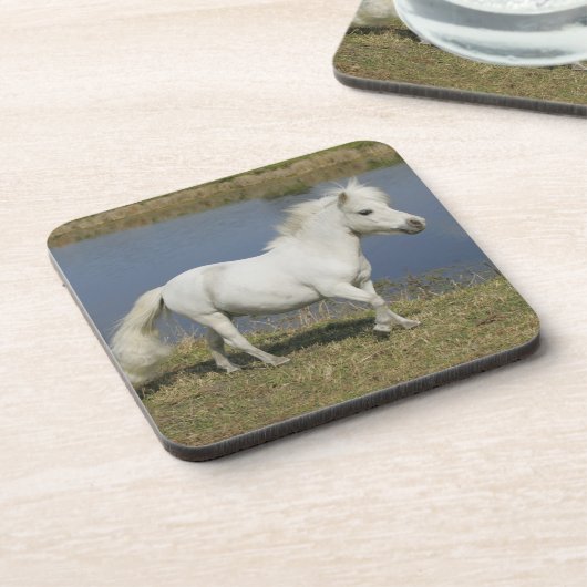 水の近くで走っているミニチュア馬 コースター (左側)