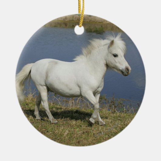 水の近くで走っているミニチュア馬 セラミックオーナメント (正面)