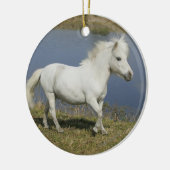 水の近くで走っているミニチュア馬 セラミックオーナメント (左)