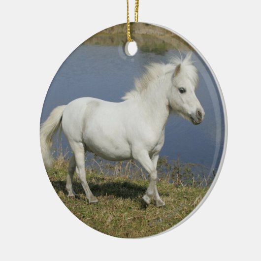 水の近くで走っているミニチュア馬 セラミックオーナメント (左)