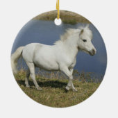 水の近くで走っているミニチュア馬 セラミックオーナメント (裏面)