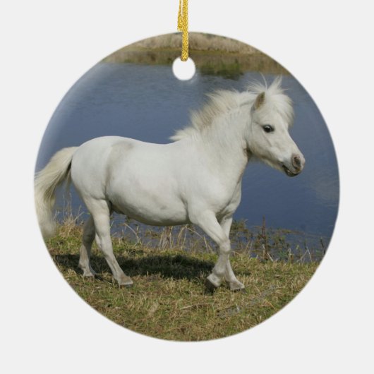 水の近くで走っているミニチュア馬 セラミックオーナメント (裏面)