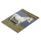 水の近くで走っているミニチュア馬 ノートブック (左側)