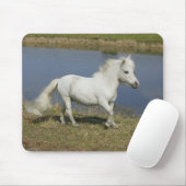 水の近くで走っているミニチュア馬 マウスパッド (マウス)