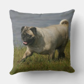 水の近くで遊ぶパグ クッション (裏面)