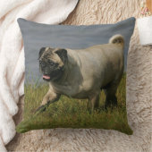 水の近くで遊ぶパグ クッション (ブランケット)