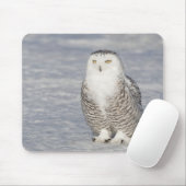 水の近くに立つスノーフクロウ マウスパッド (マウス)