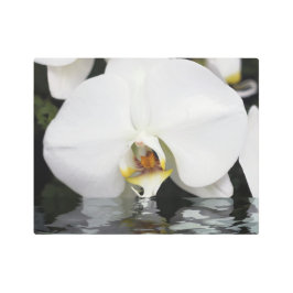 水の金属壁画から生まれる白い蘭 メタルプリント