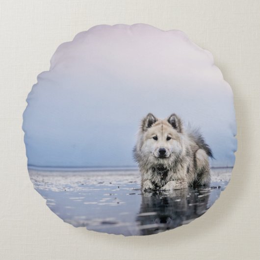 水の静かな体の犬 ラウンドクッション (正面)
