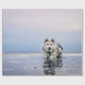 水の静かな体の犬 ラッピングペーパー (フラット)