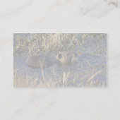 水のNutria 名刺 (裏面)