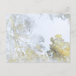 水はがきに映る広葉樹 ポストカード