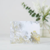 水はがきに映る広葉樹 ポストカード (スタンド正面)