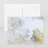 水はがきに映る広葉樹 ポストカード (正面/裏面)