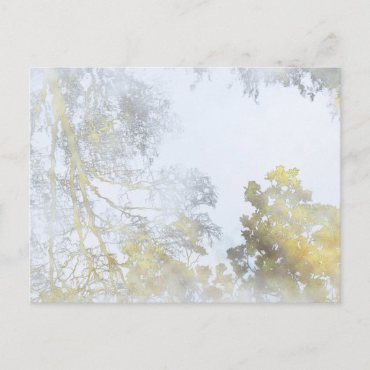 水はがきに映る広葉樹 ポストカード (正面)
