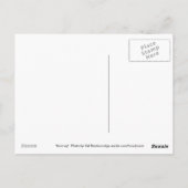 水はがき急やる気を起こさせるぎ ポストカード (裏面)