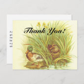 水はがき近くのアヒル ポストカード (正面/裏面)