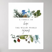 水はホープ・クリスマスのポスターのスリルを彩る ポスター (正面)