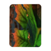 水は柔軟な広い磁石である マグネット (縦)