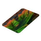 水は柔軟な広い磁石である マグネット (左側)