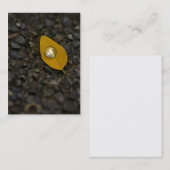 水は真珠のような名刺を回します 名刺 (正面/裏面)