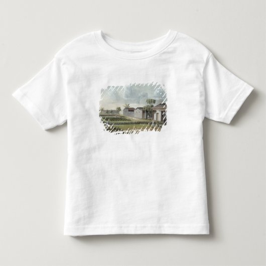 水まきの茶植物(w/c紙で) トドラーTシャツ (正面)