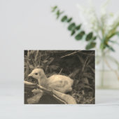 水やり穴 – ポストカード (スタンド正面)