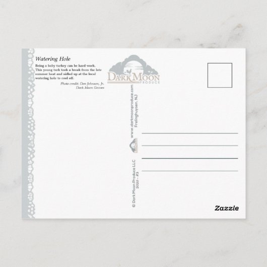 水やり穴 –  ポストカード (裏面)