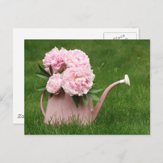 水やり缶の中の美しい牡丹 ポストカード (正面/裏面)