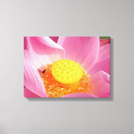 水ゆりキャンバス印刷 キャンバスプリント (正面)