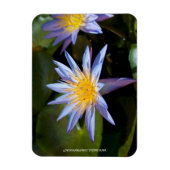 水ゆりプレミアムマグネット マグネット (縦)