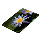 水ゆりプレミアムマグネット マグネット (左側)