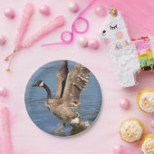 水をはずしているカナダのガチョウ ペーパープレート (パーティー)