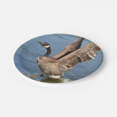 水をはずしているカナダのガチョウ ペーパープレート (アングル)