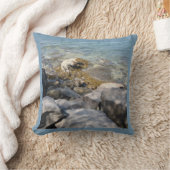 水を伴うクール海澄ん岸の岩 クッション (ブランケット)