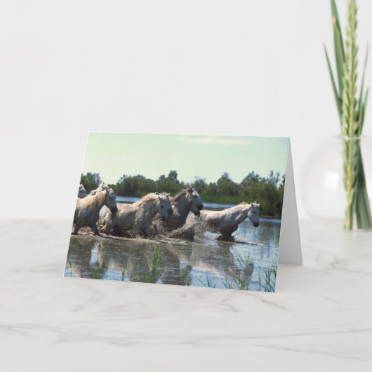 水を渡る馬 カード (正面)